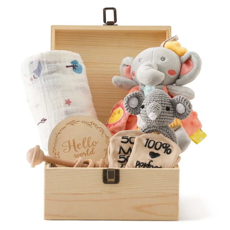 The Complete Baby Welcome Gift Basket (Infant Bath & Play Set).