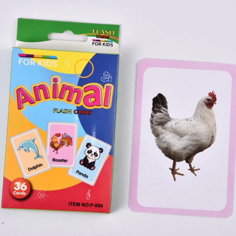 36Pcs Kid’s Cognition Cards