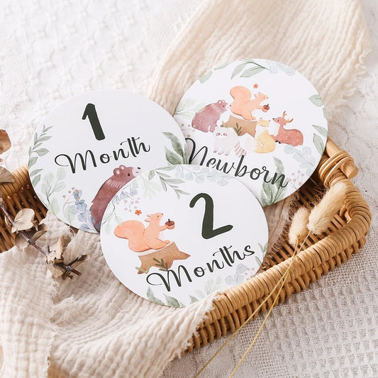 0-12 Month Baby Milestone Photo Cards & Souvenirs