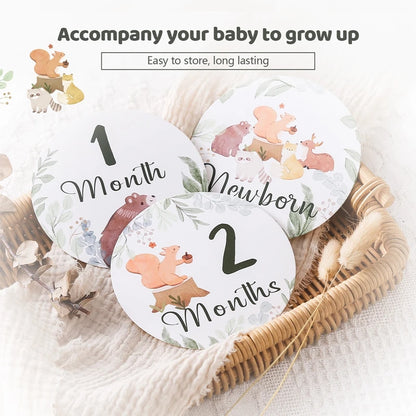 0-12 Month Baby Milestone Photo Cards & Souvenirs