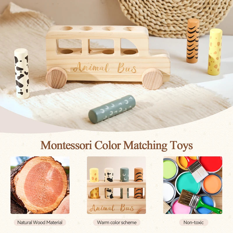 Wooden Push & Bouncing Toy Set