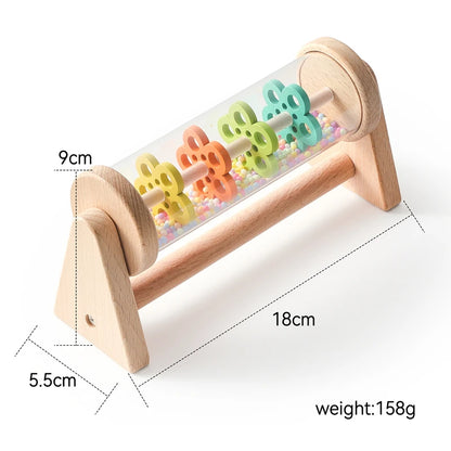 Wooden Push & Bouncing Toy Set