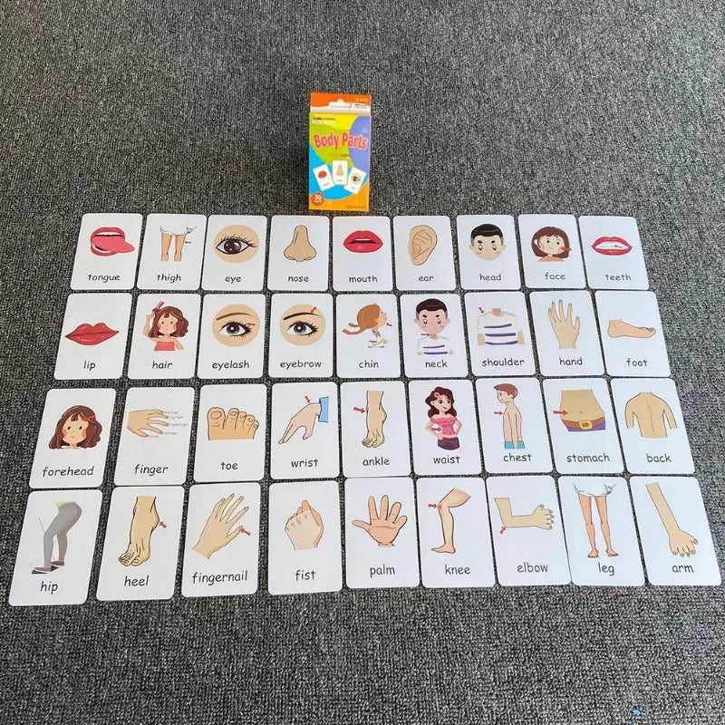 36Pcs Kid’s Cognition Cards