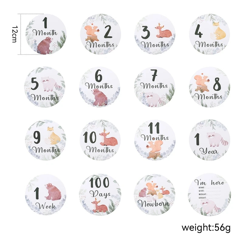 0-12 Month Baby Milestone Photo Cards & Souvenirs