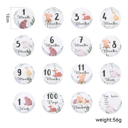 0-12 Month Baby Milestone Photo Cards & Souvenirs