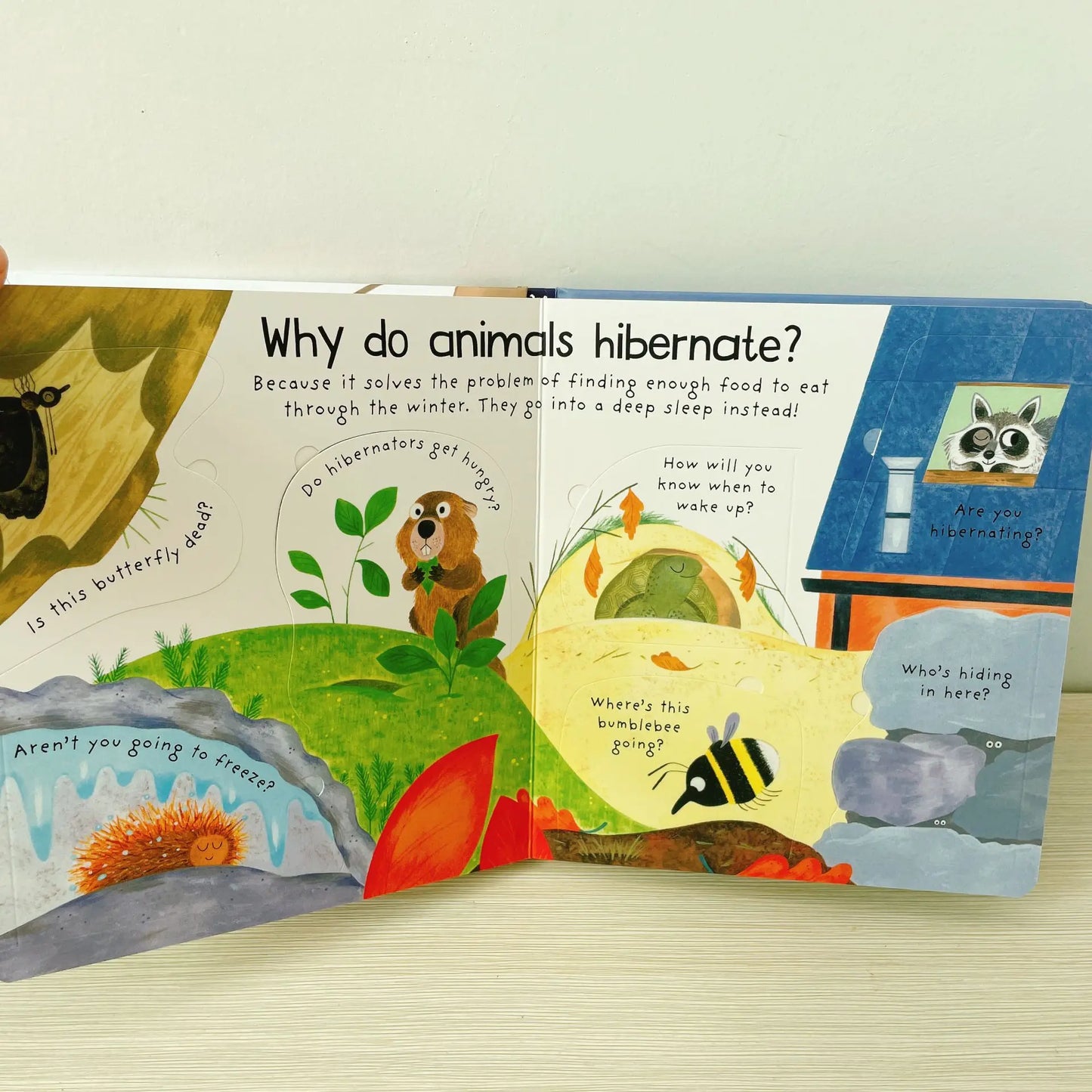 Where Do Animals Go In Winter ?