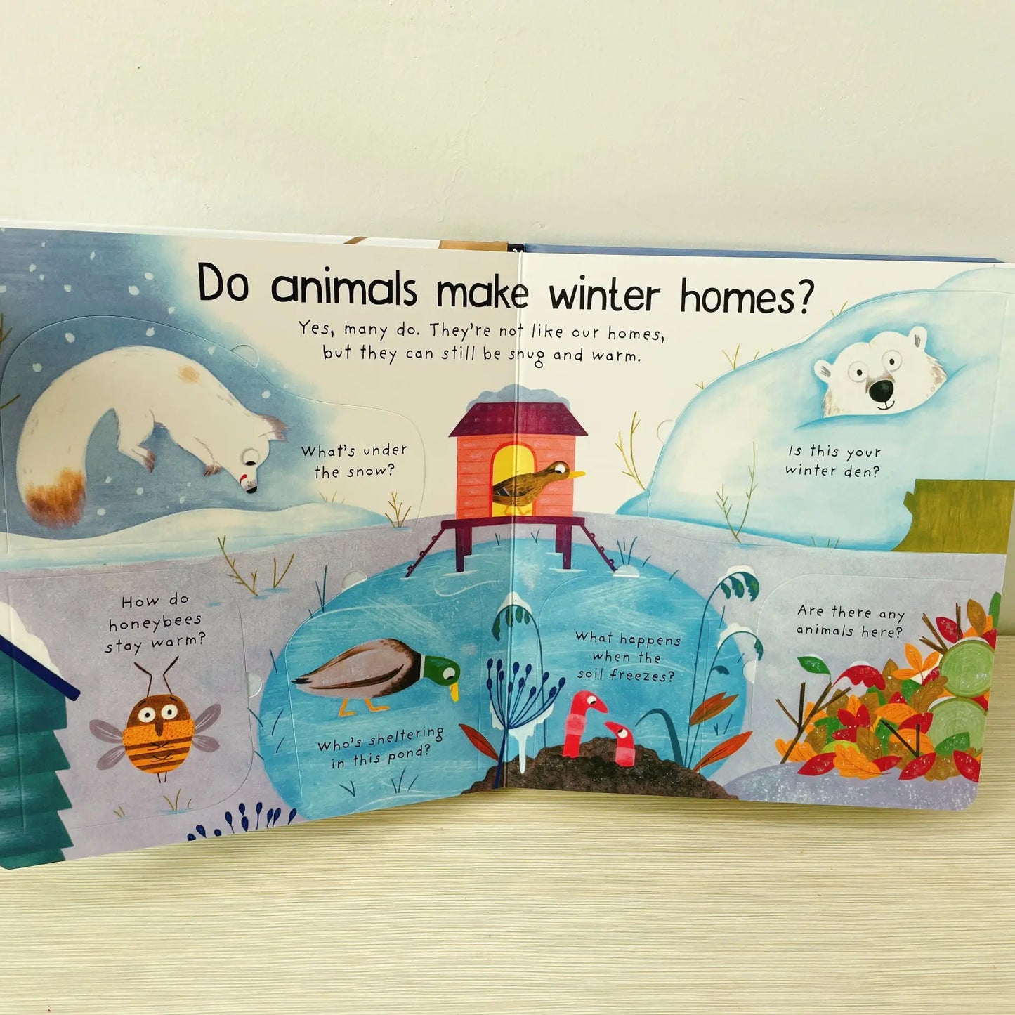 Where Do Animals Go In Winter ?