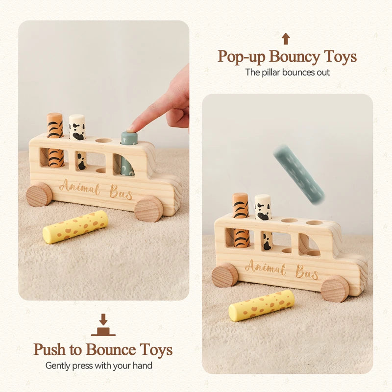 Wooden Push & Bouncing Toy Set