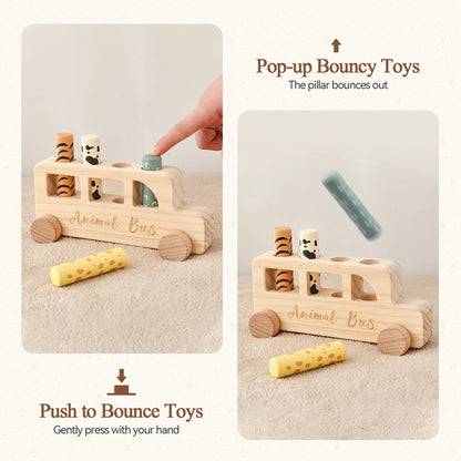 Wooden Push & Bouncing Toy Set
