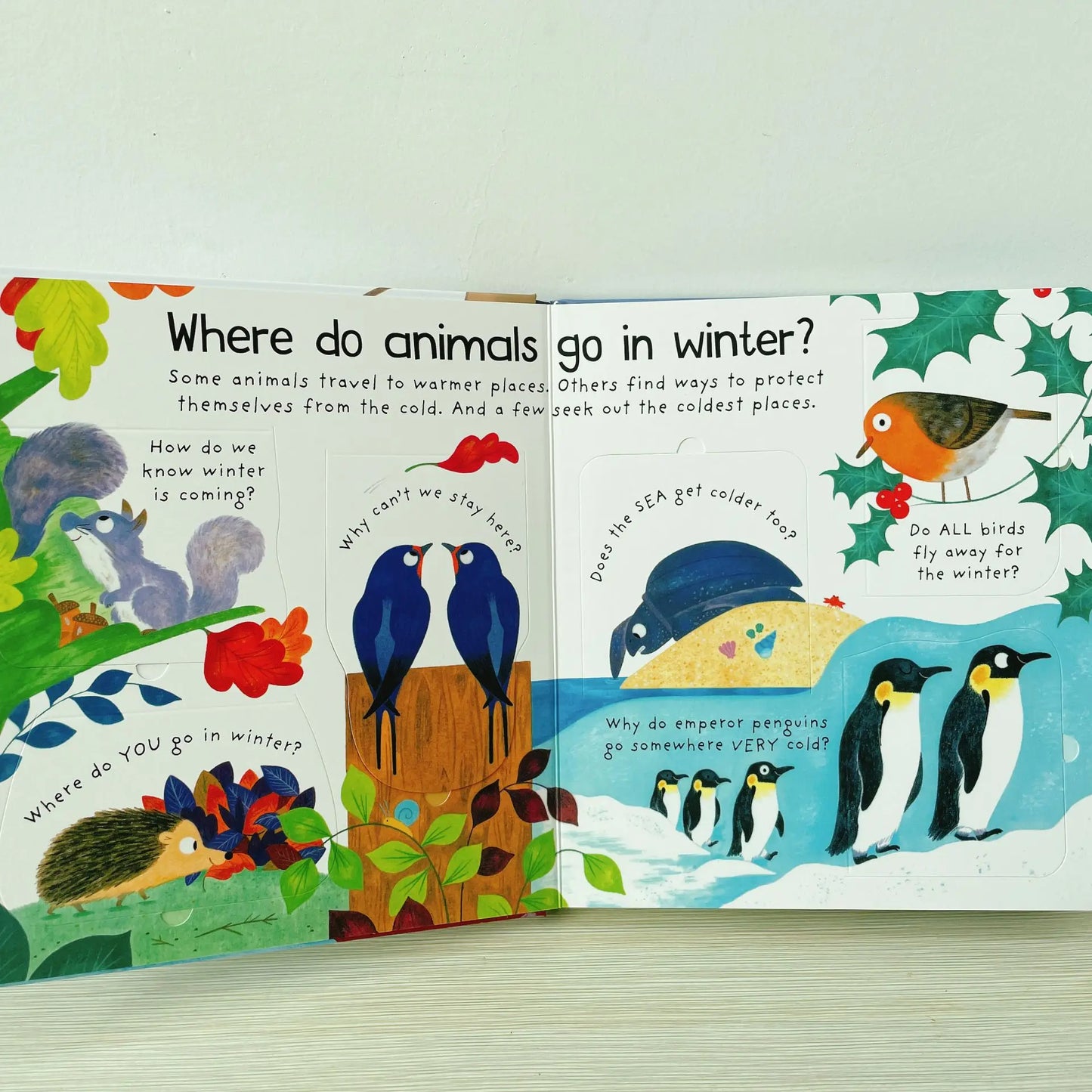 Where Do Animals Go In Winter ?