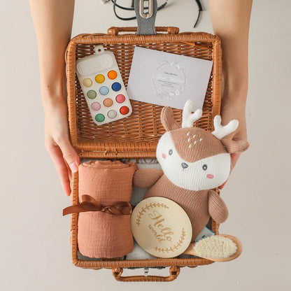 Baby Photography Props & Milestone Cards – Newborn Keepsake Memory Blanket Gift Set